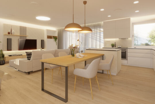 BALANCE-DESIGN_dům Holice2024_HK-MASTER-02_vincenza